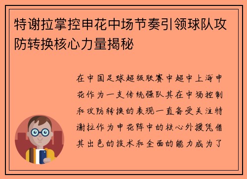 特谢拉掌控申花中场节奏引领球队攻防转换核心力量揭秘